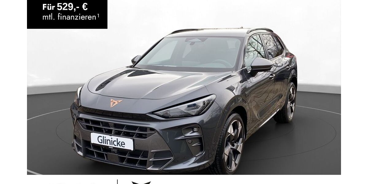 Cupra Terramar 10.000 km 41.980 &euro; Witzenhausen 37213