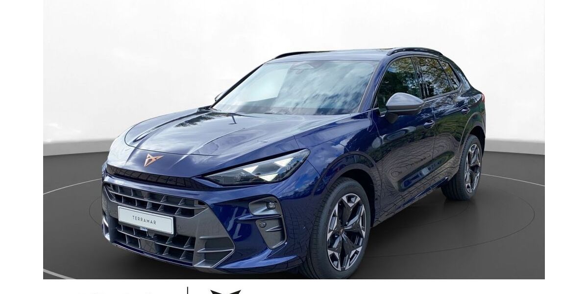 Cupra Terramar 10.000 km 42.180 &euro; Witzenhausen 37213
