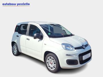 Gebrauchte Fiat Panda