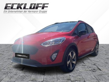 Gebrauchte Ford Fiesta
